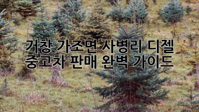 거창 가조면 사병리 디젤 중고차 판매 완벽 가이드